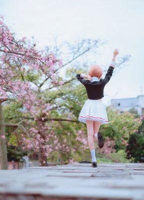 女子监狱一级毛片太黄了_1080P免费观看电视剧
