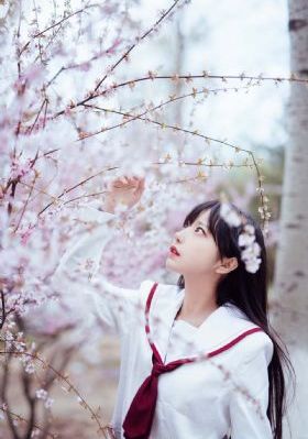 1313午夜精品_免费手机在线看片